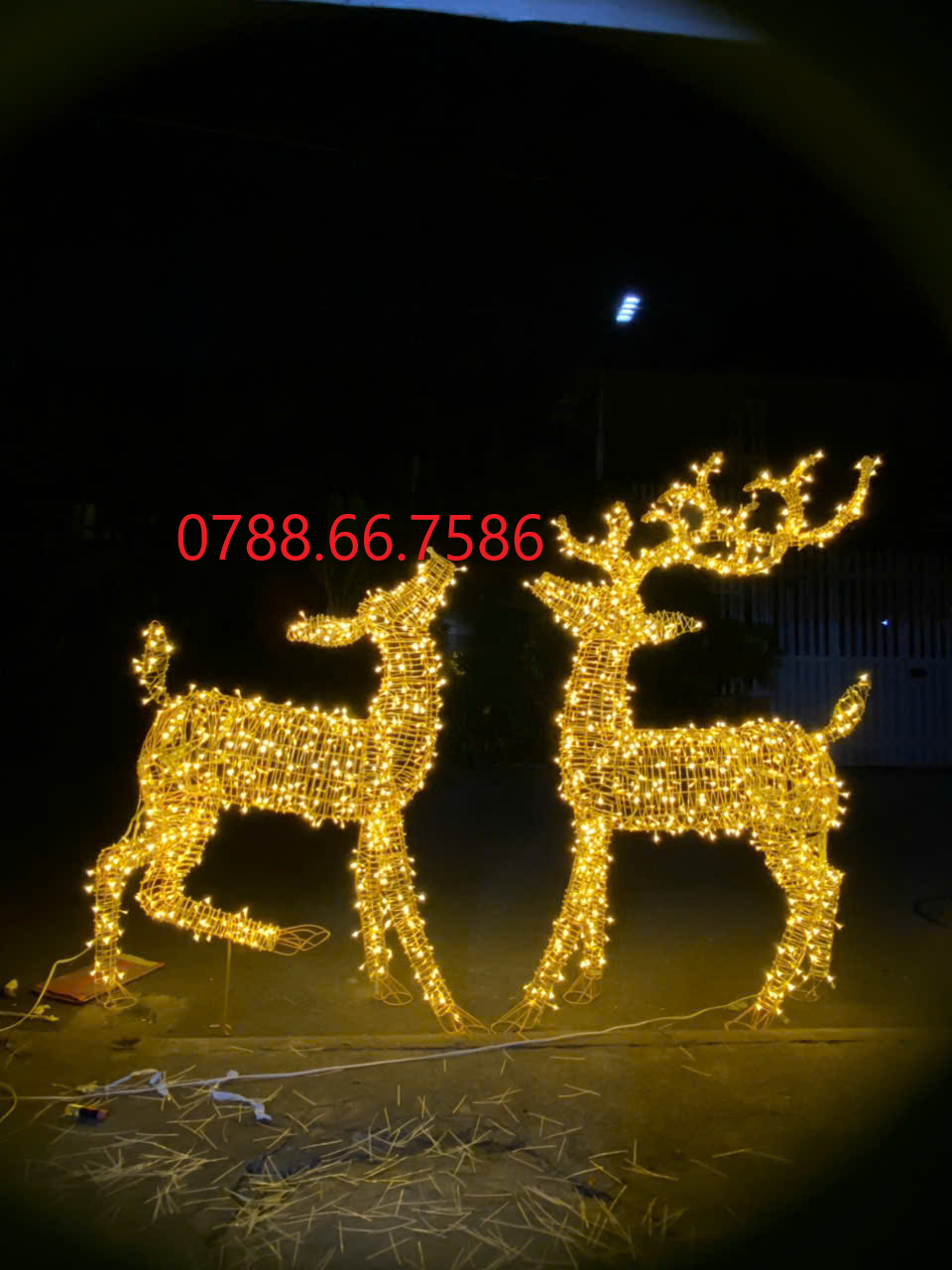 con tuần lộc noel 2025